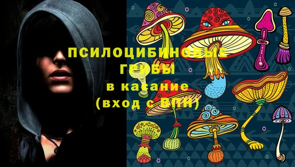 MESCALINE Аркадак