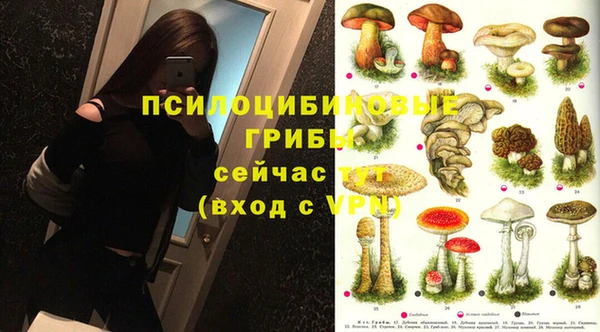 метадон Армянск